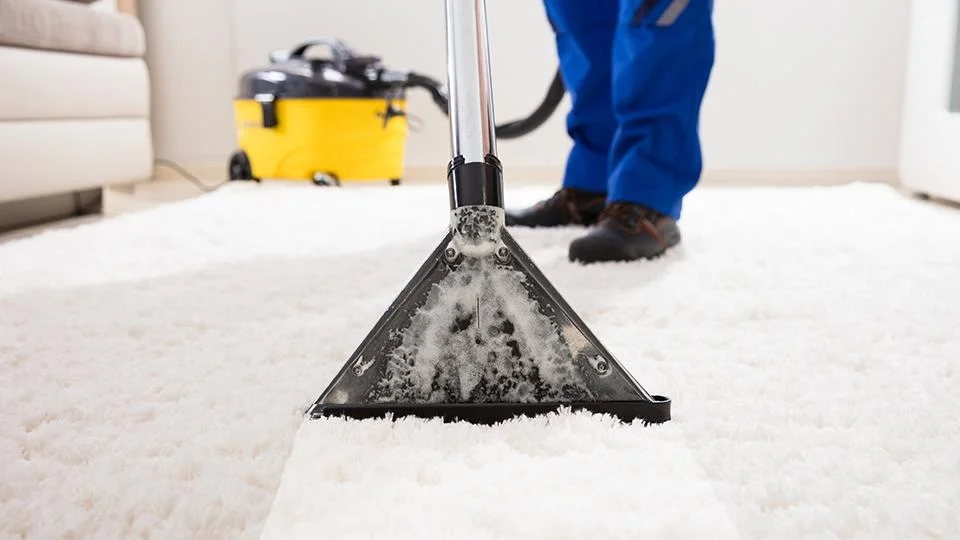 Experience a Healthier Home with Our Carpet Cleaning Services