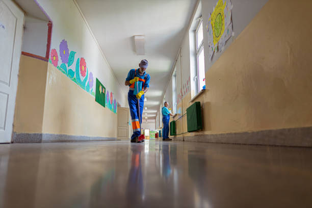 What Are the Environmental Effects of Cleaning Products Used in Educational Facilities?