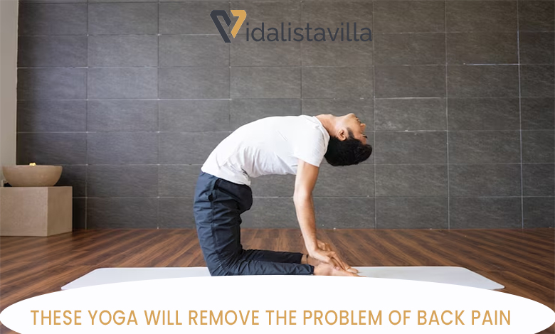 THESE YOGA WILL REMOVE THE PROBLEM OF BACK PAIN