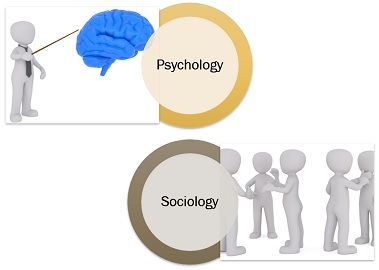 Psychology vs Sociology: Which is Better for UK Students